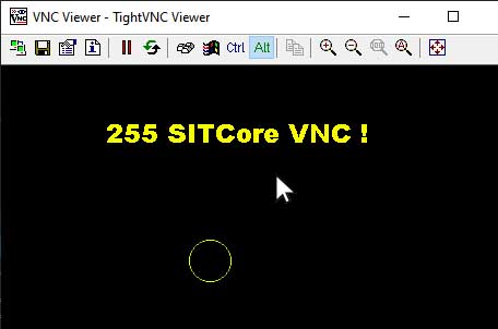 TightVNC